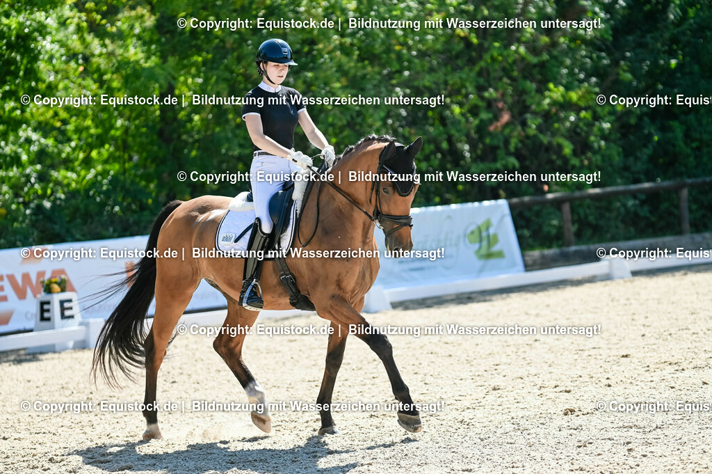 20230908_06_Dressur-L-Trense_0790 | equistock