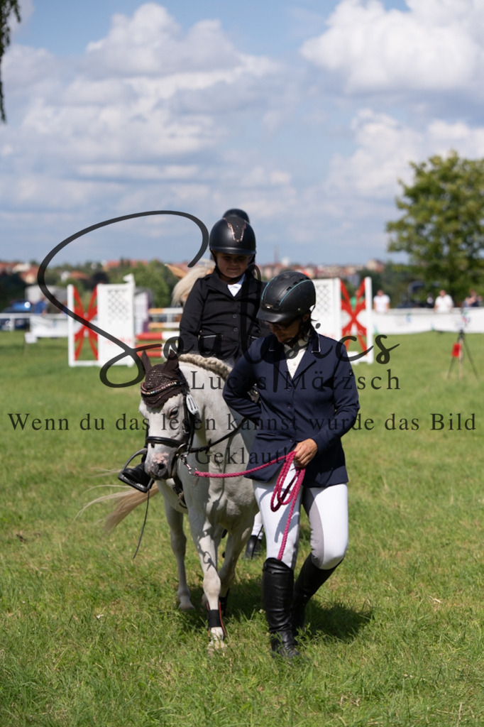 A7V03279 | Pferdefotograf