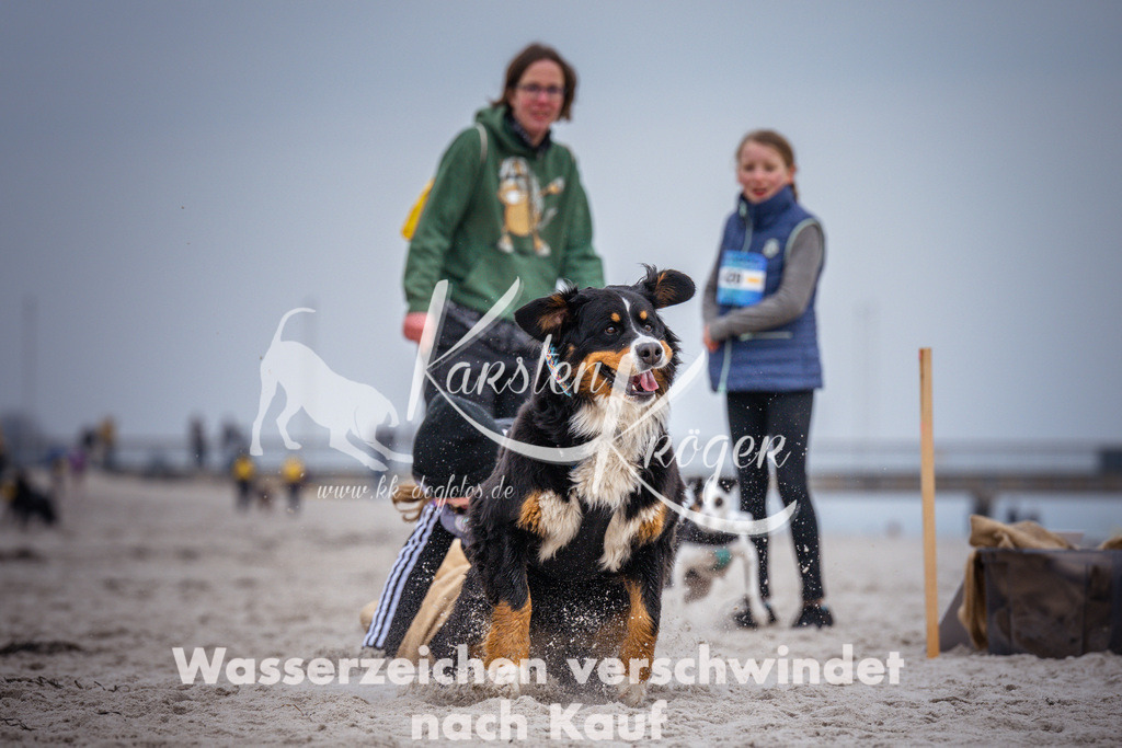 1223_ZZ93902 | kk-dogfotos