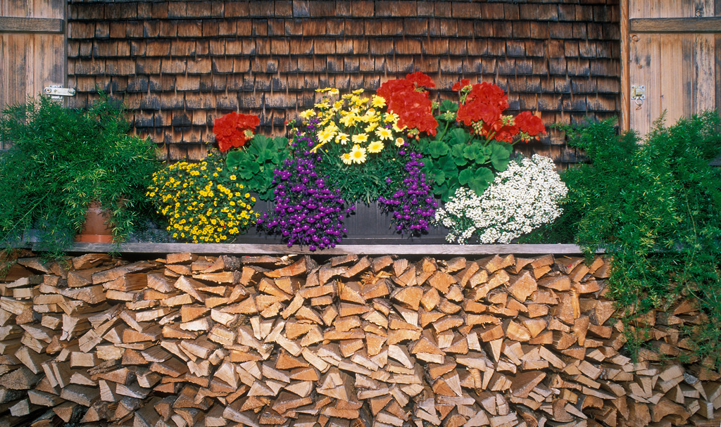 Blumenschmuck am Holzhaus | Europa, Austria, Vorarlberg, Dornbirn; Holzstoss und Blumenschmuck vor einer geschindelter Hauswand - Realisiert mit Pictrs.com