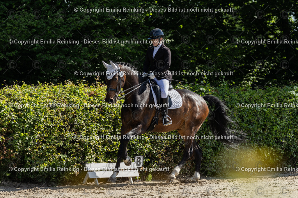 CL5A7043 | Emilia Reinking Fotografie - Realisiert mit Pictrs.com