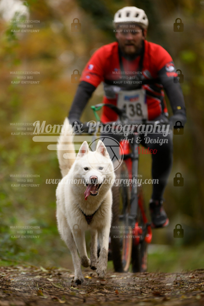 MompixPhotography_Bischwiller24_SA_VTT-87 | PayLife