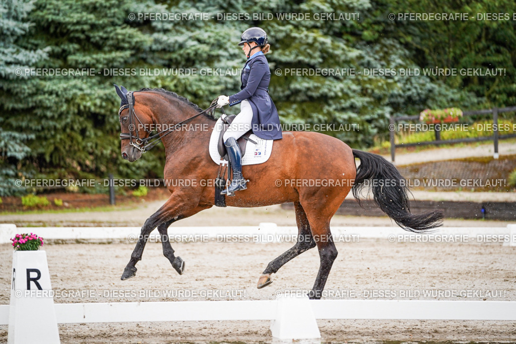 DSC00107 | Pferdegrafie