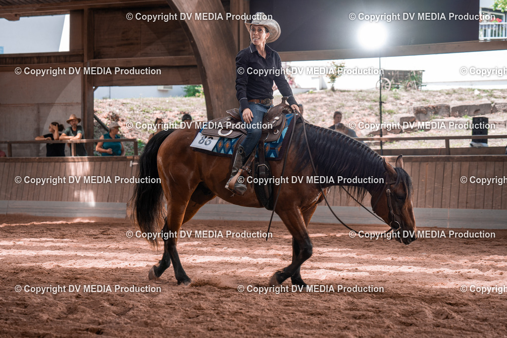 NE100569 | dv-media-shop - Realisiert mit Pictrs.com