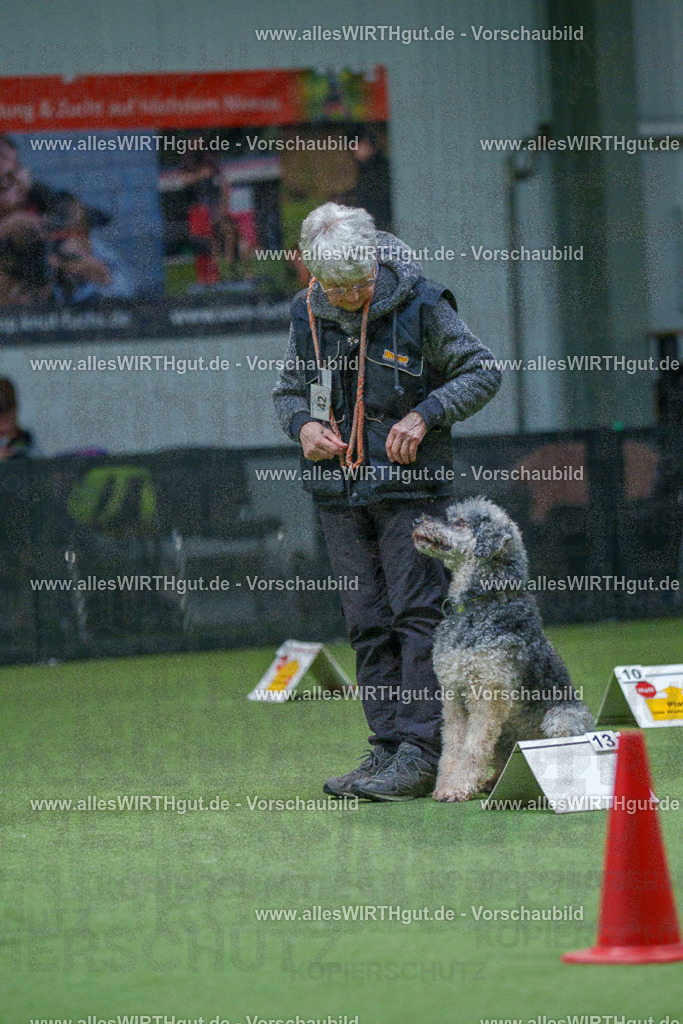 7R501270 | Professionelle Tierfotografie in Mönchengladbach von Daniel Wirth (allesWIRTHgut). Liebevolle & natürliche Bilder von Hunden & Katzen für unvergessliche Erinnerungen.