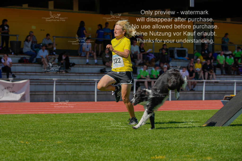 Sonntag_VK Hindernis (177 von 671) | stephaniefillaphotographie - Realisiert mit Pictrs.com