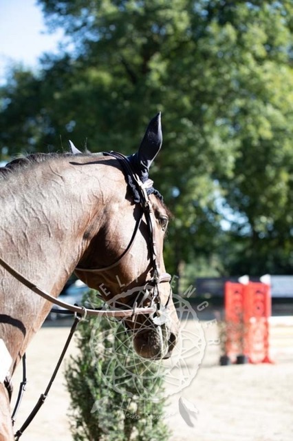 2B4A0193 | pixelfaenger - Realisiert mit Pictrs.com