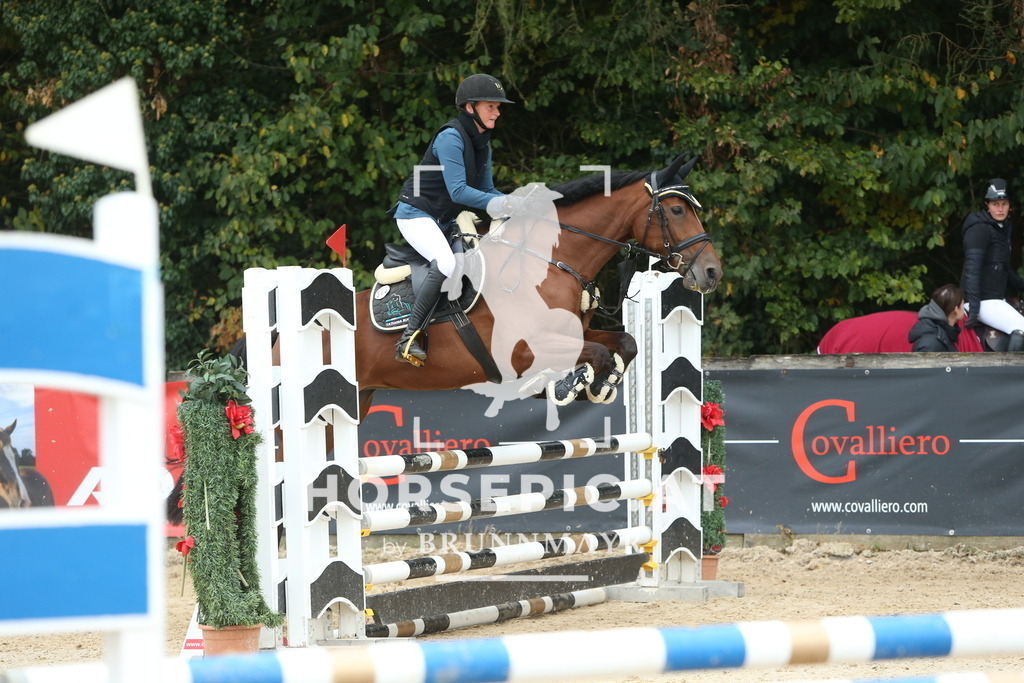 DL2Q5329 | Willkommen bei Brunnmayr - Design & Fotografie – Ihrem Spezialisten für Reitturniere und Pferdeveranstaltungen in Oberösterreich, Salzburg und Bayern! Seit über 17 Jahren sind wir leidenschaftlich dabei.