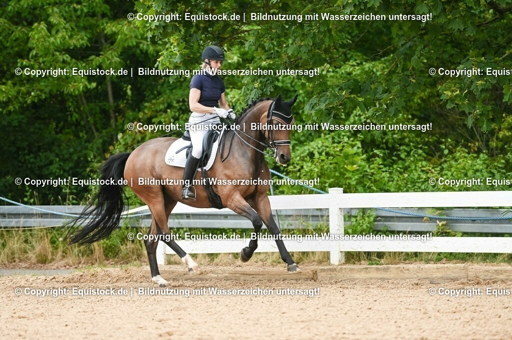 20230716_01_Dressurprüfung Kl.M_0444 | equistock