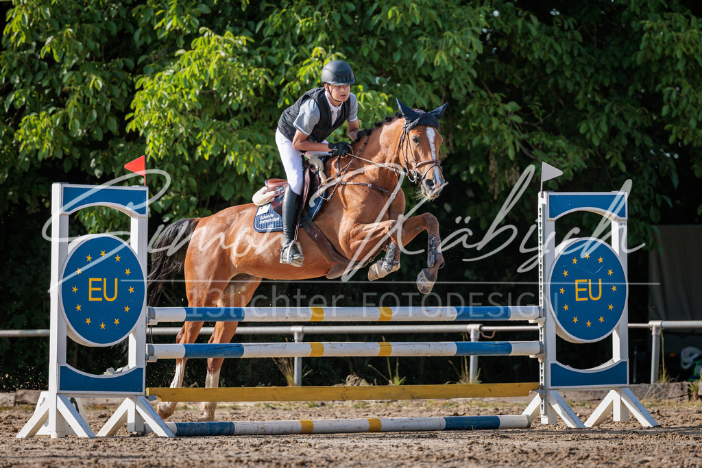 20260529-_3LI0316 | Tierfotografie Pferde, Hunde, Katzen, Haustiere.
Turnierfotografie Reitturniere, Reiten, Springreiten, Dressur in Hanau, dem Main-Kinzig-Kreis und dem Rhein-Main- Gebiet um Frankfurt