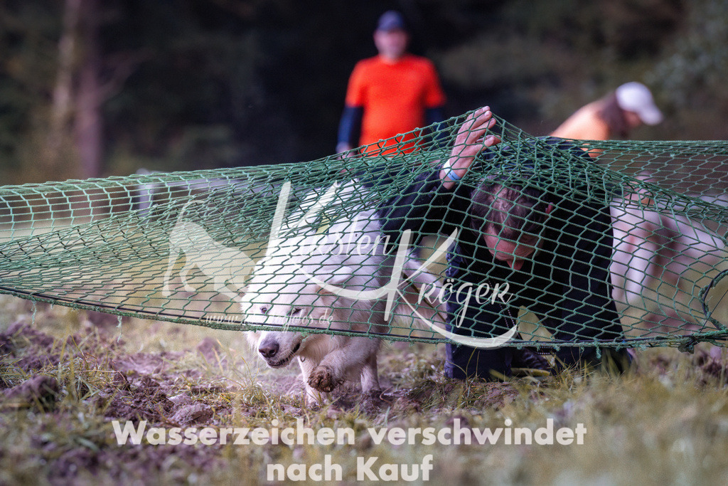 0849_ZZ91061 | kk-dogfotos