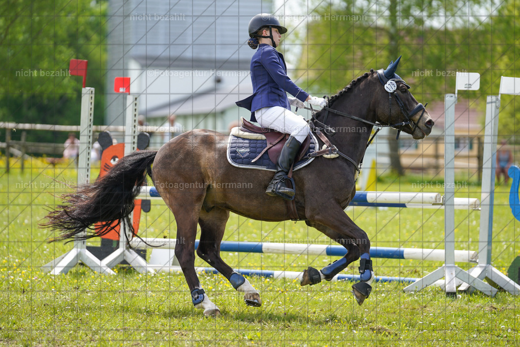 20230521-FAH06292 | Frühjahrsturnier, Landsberg am Lech, 2023, Reitclub Landsberg, Turnierbilder, Fotos Turnier Landsberg, Fotoagentur Herrmann, Turnierfotografen Bayern, Reitsport Fotograf, Pferde Fotograf