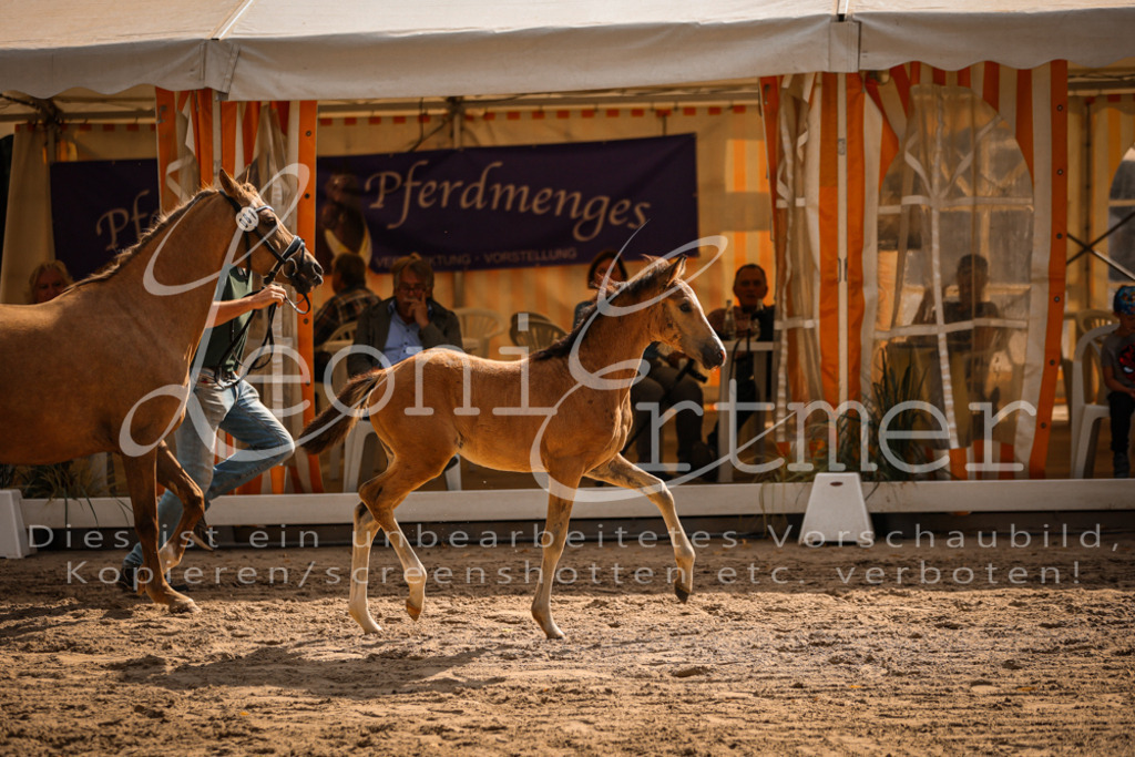 10.DoRP00156 | Leoni Ertmer Photography - Realisiert mit Pictrs.com