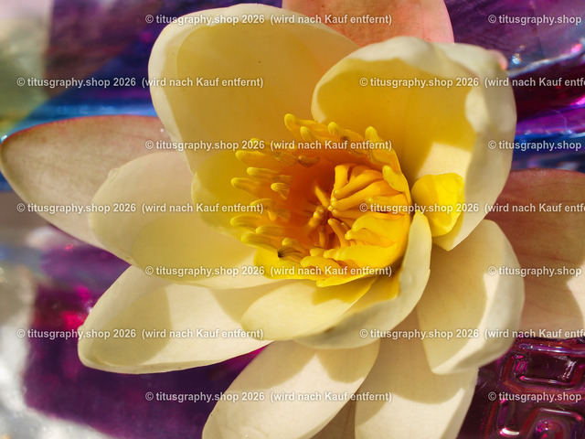 titusgraphy_P6217165--vz-ln | titusgraphy-shop: Geschenkideen mit Qualitätsfotos. titusgraphy-shop: gift ideas with quality photos. titusgraphy-shop: idées cadeaux avec photos de qualité.  - Realisiert mit Pictrs.com