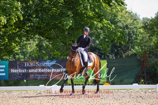 DKP41394 | Deine Turnierfotos vom Reitturnier online kaufen: Dressur, Springen & Siegerehrung. Professionelle Pferdefotografie aus dem Rheinland – als Download & Print.Alternative: Turnierfotograf für den Pferdesport: Finde deine Fotos von Dressur- und Springturnier