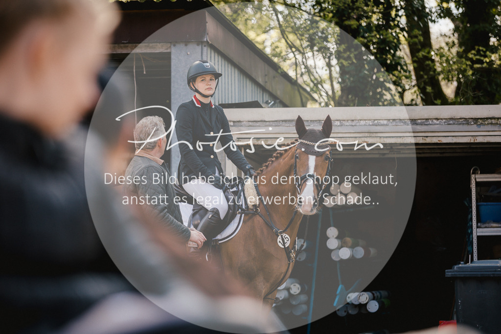 3I6A3979 | Stimmungsvolle Portraits und Reitsportfotografie im Ruhrgebiet und im Münsterland.

Pferdefotografie, Hundefotografie, Tierfotografie, Reportagen, Portraits von Tier und Mensch, Turnierfotografie in Bochum, Recklinghausen, Marl, Haltern am See, Dülmen.. - Realisiert mit Pictrs.com