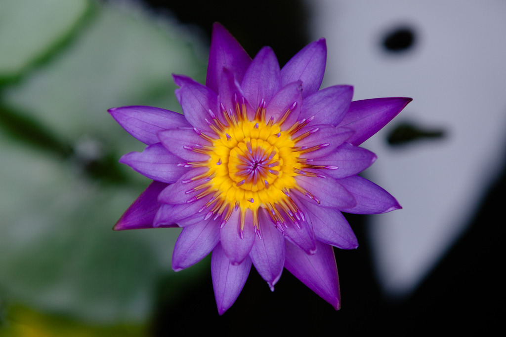 _MG_8611 | AHORN PHOTOGRAPHY - Realisiert mit Pictrs.com