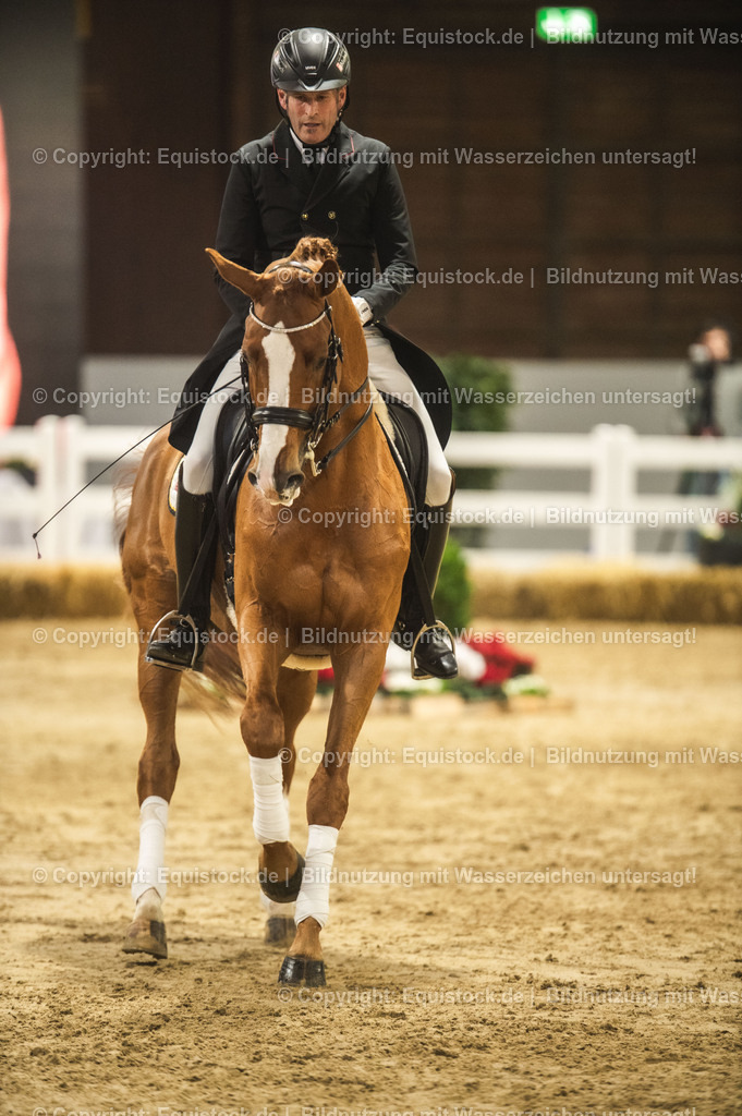 20240302_Hengstvorstellung_Marbach_TOMsPiC_0894 | equistock