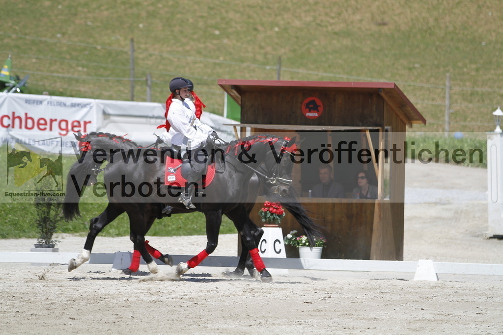 _MG_7437 | equestrian-live-com