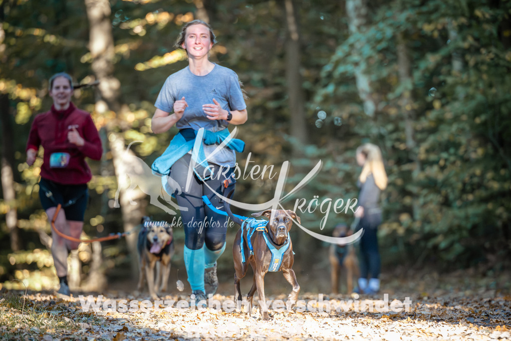 1001_ZZ98944 | kk-dogfotos