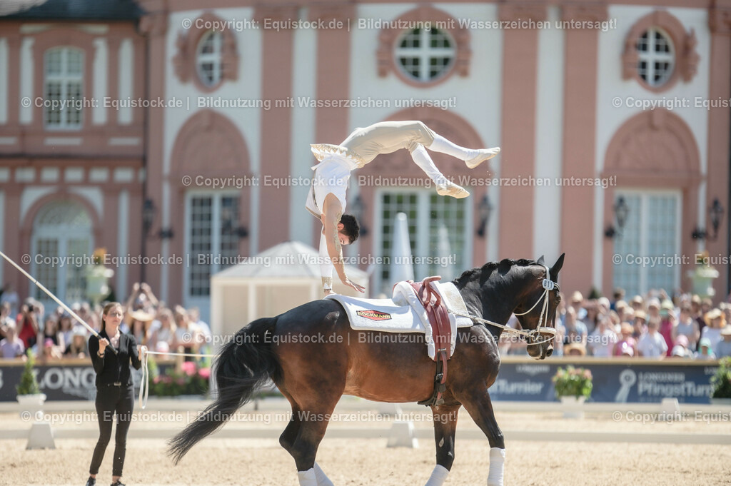 20230528_Voltigieren_NASPA_0206 | equistock
