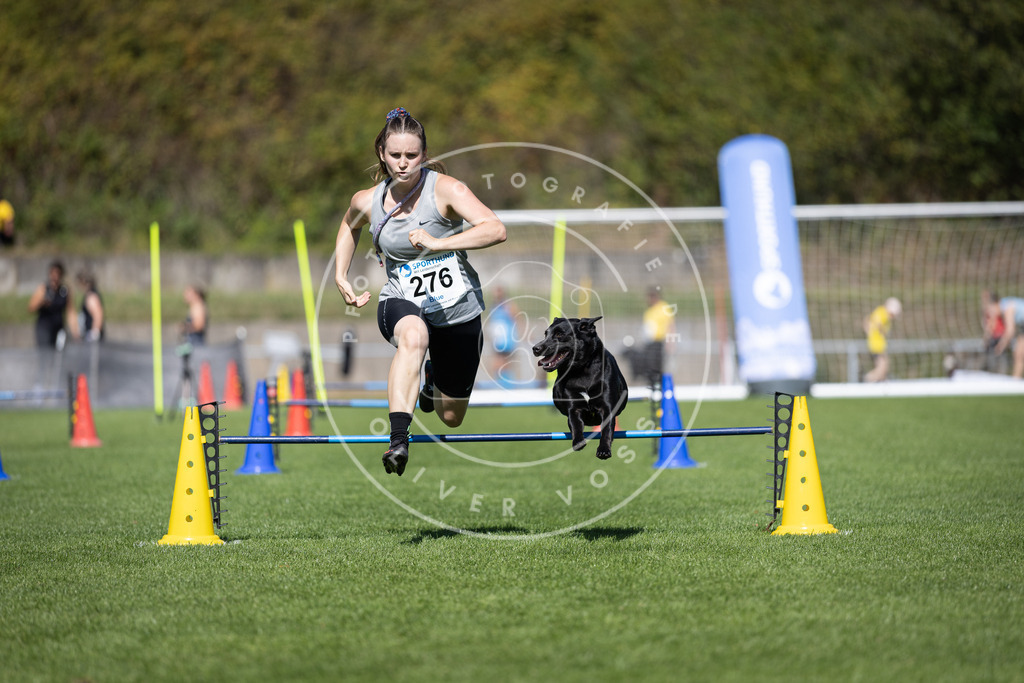 Pfotenfotografie_DV3A6982 | Hundefotografie, Tierfotograf, Pfotenfotografie, Fotoshooting Hund, Hunde Portrait, Hundesport, Hundeportraits, Heideshooting, Hunde, Sportfotograf, Hundefotograf, Turnierhundsport, THS,  - Realisiert mit Pictrs.com