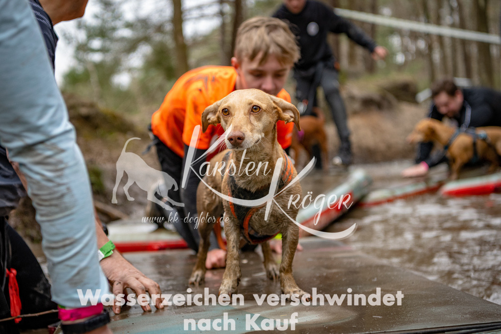 1246DSC_8087-2 | kk-dogfotos
