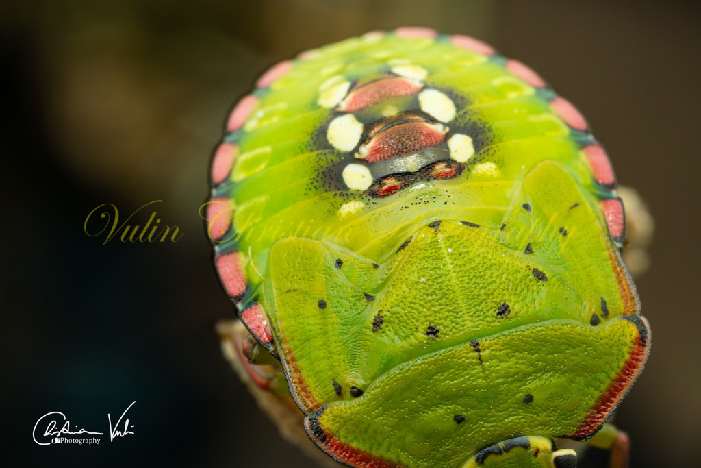 K 10 | Christian Vulin  - Realisiert mit Pictrs.com