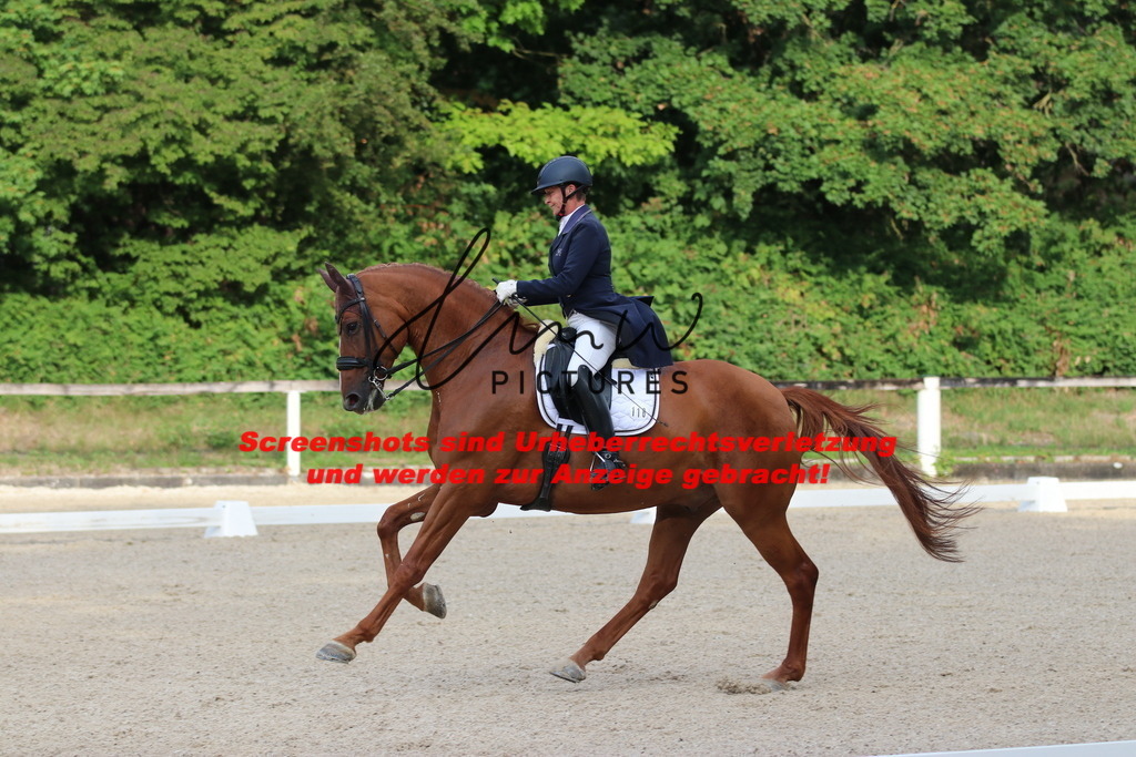 IMG_6018 | lmwpictures - Realisiert mit Pictrs.com