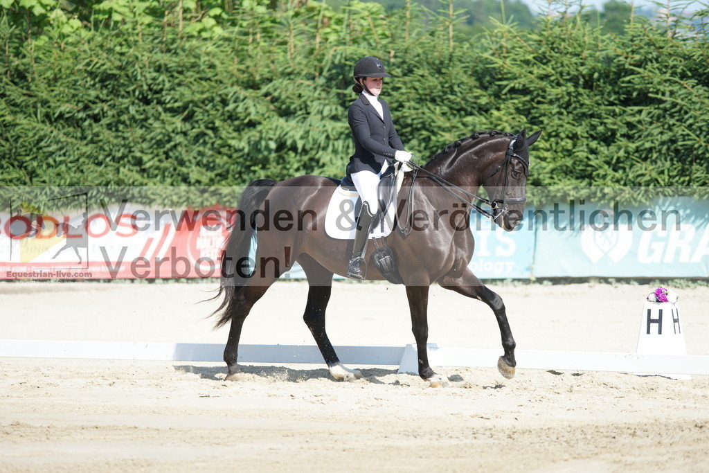 DSC02924 | equestrian-live-com