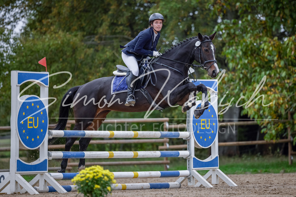 20251012-_3LI4626 | Tierfotografie Pferde, Hunde, Katzen, Haustiere.
Turnierfotografie Reitturniere, Reiten, Springreiten, Dressur in Hanau, dem Main-Kinzig-Kreis und dem Rhein-Main- Gebiet um Frankfurt
