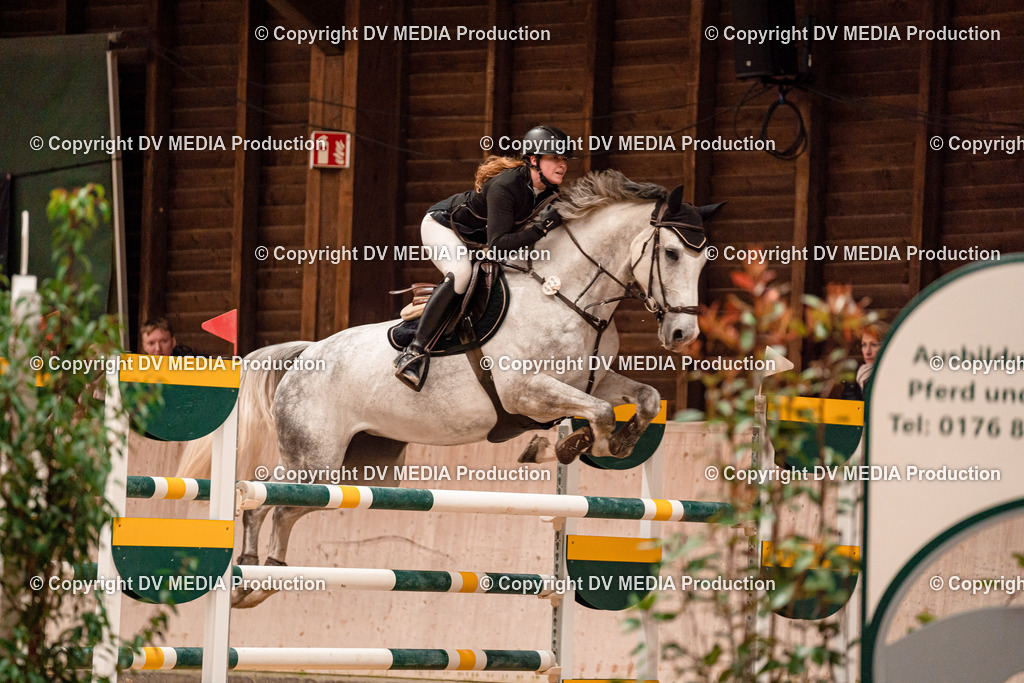 Springen Tag 3-340 | dv-media-shop - Realisiert mit Pictrs.com