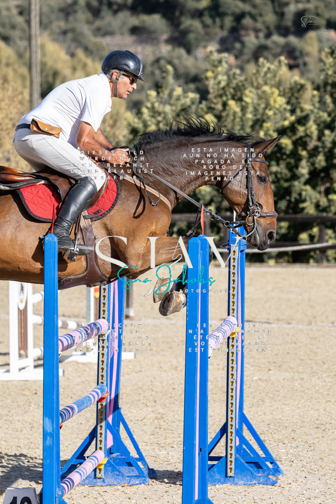 IMG_0081 | s-jay-photography - Realisiert mit Pictrs.com