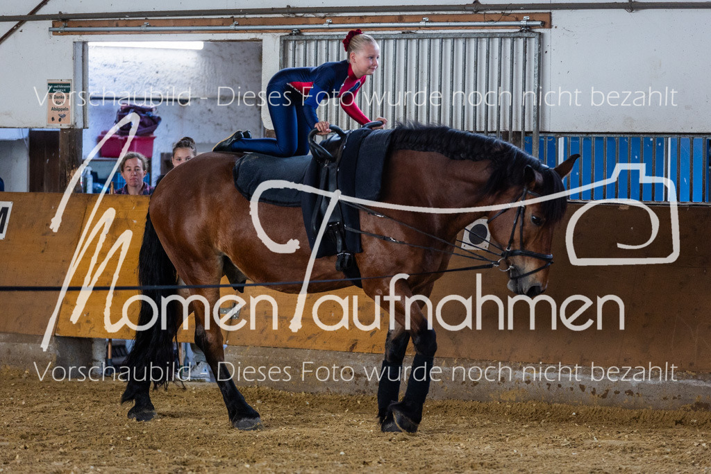 SS-Maxi-111 | MomenTaufnahmen Pferdesportfotos