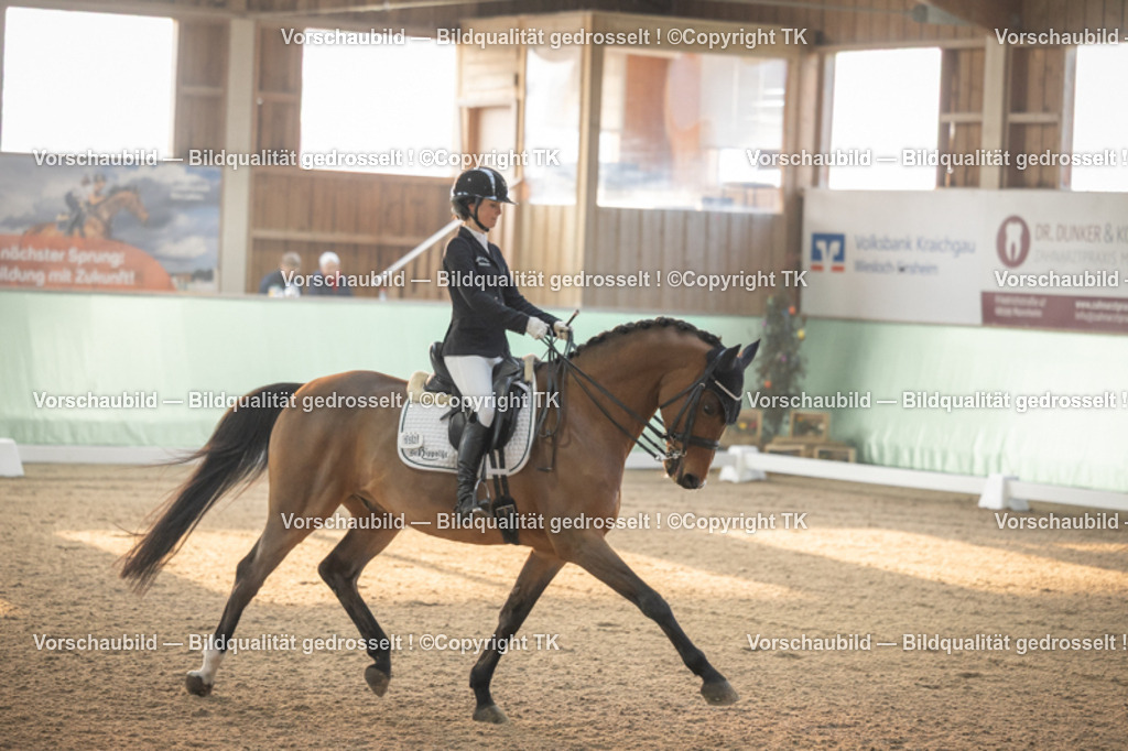 _D5A3853 | Emotionale Pferde- & People-Fotografie rund um Heidelberg, Leimen & Umgebung. Natürliche Fotos von Pferd, Mensch & Familie. Jetzt Termin sichern!