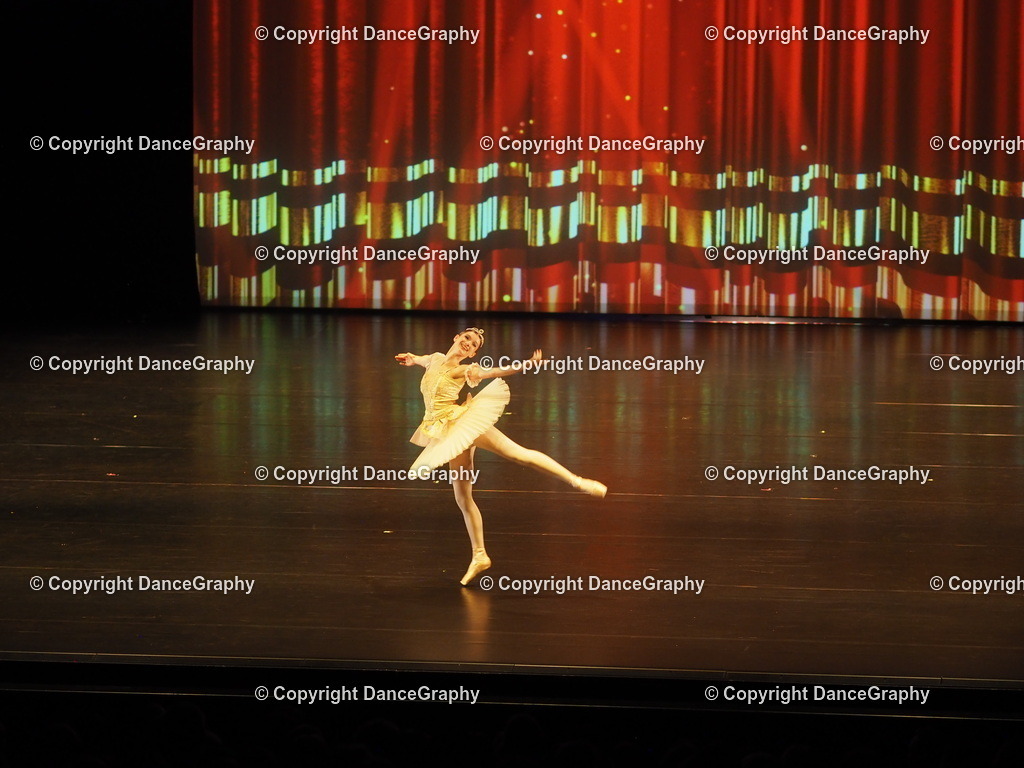 P7260421 | DanceGraphy - Realisiert mit Pictrs.com