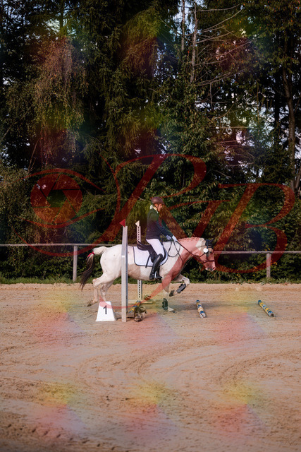 2026_10_03_Siefer-Hof_144155_Z81_14253502 | Professionelle Reitsport-, Turnier- und Eventfotografie von Robert Broda. Galerien mit ausgewählten und bearbeiteten Bildern direkt online ansehen und bestellen.