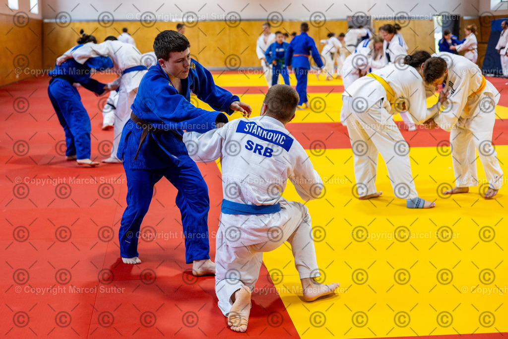 20250418-162711-_G2A6894-MarcelSutter | Finde und bestelle deine Sport- und Eventfotos in höchster Qualität. Professionelle Aufnahmen von Wettkämpfen, Veranstaltungen und Outdoor-Events – schnell und einfach online bestellen. - Realisiert mit Pictrs.com