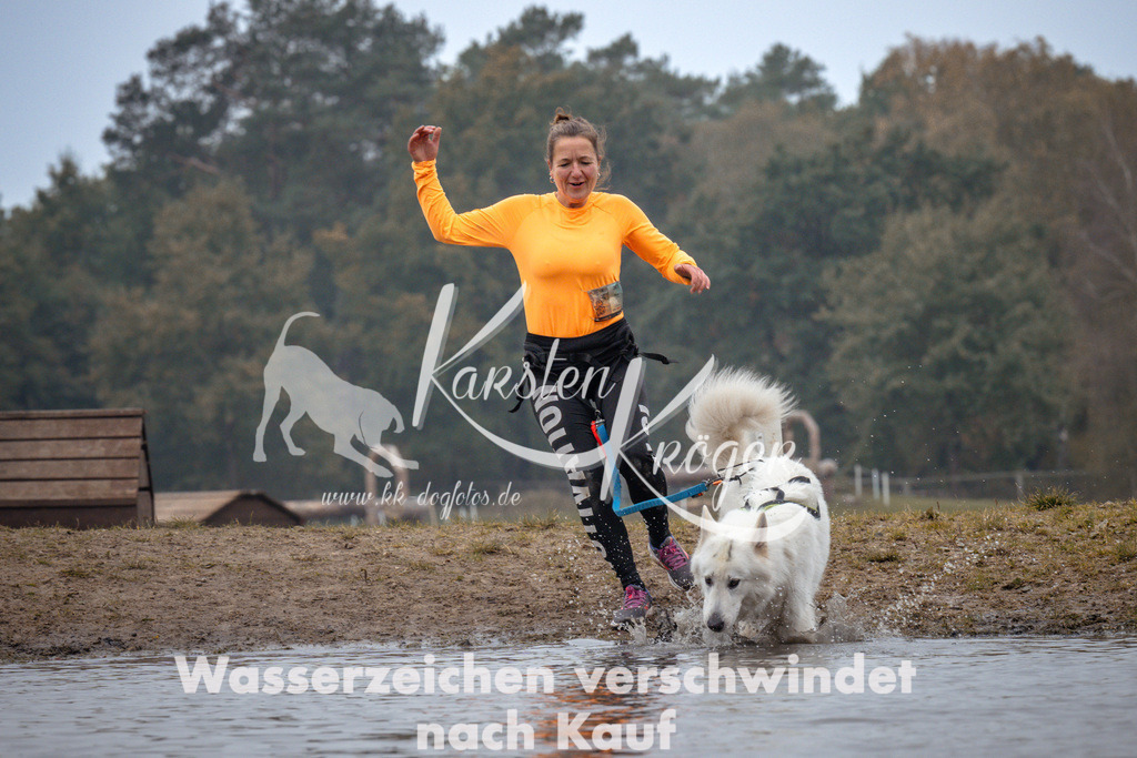 1106_ZZ92989 | kk-dogfotos