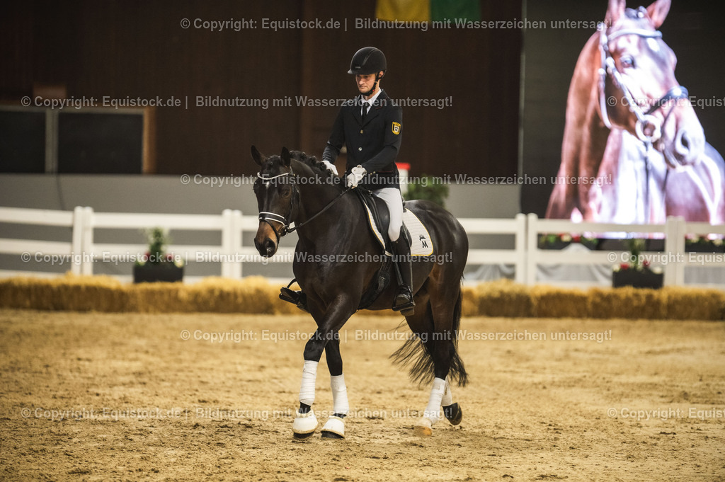 20240302_Hengstvorstellung_Marbach_TOMsPiC_0417 | equistock