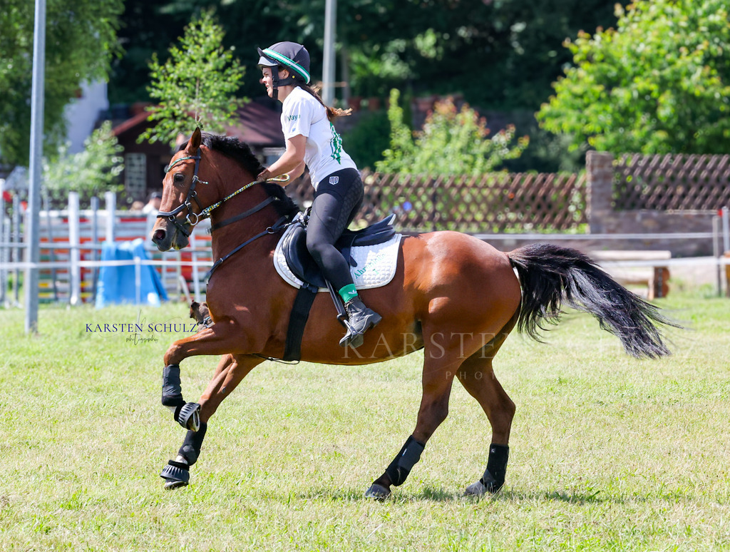 1B3A4217 | Reitsport Reiten