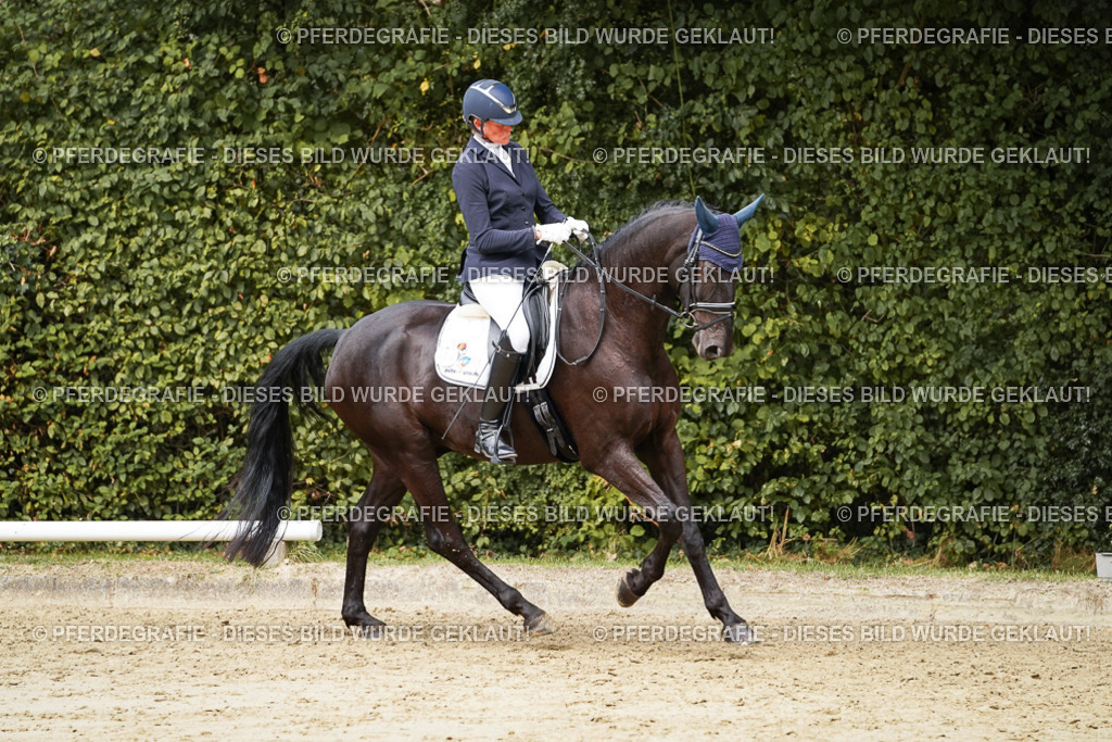 DSC01117 | Pferdegrafie