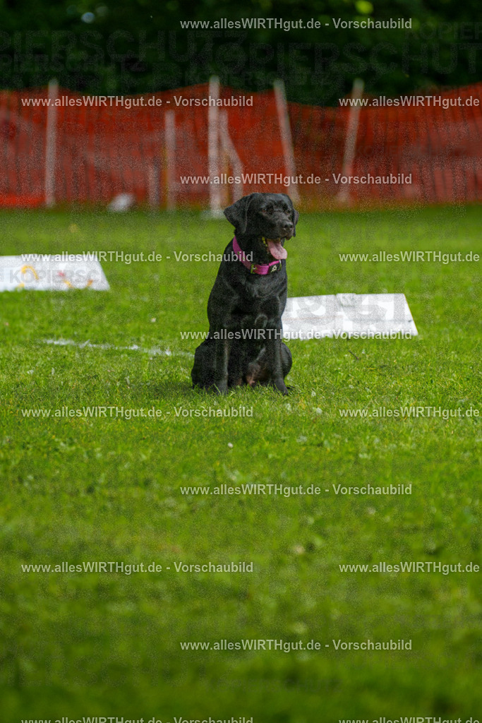 @allesWIRTHgut_Tierfotografie - www.allesWIRTHgut.de - 7R503150 | Professionelle Tierfotografie in Mönchengladbach von Daniel Wirth (allesWIRTHgut). Liebevolle & natürliche Bilder von Hunden & Katzen für unvergessliche Erinnerungen.