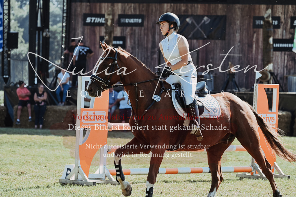 DSC_5657 | Pferde- und Turnierfotografie in Westsachsen. Pferdeportraits, Auftragszeichnungen und intuitive Kunst.