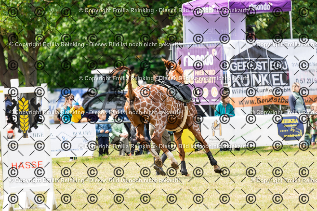 CL5A7901 | Emilia Reinking Fotografie - Realisiert mit Pictrs.com