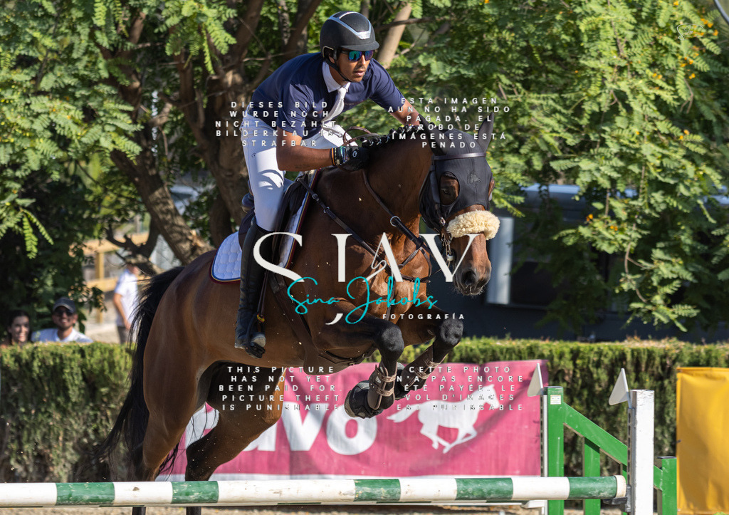 IMG_9354 | s-jay-photography - Realisiert mit Pictrs.com