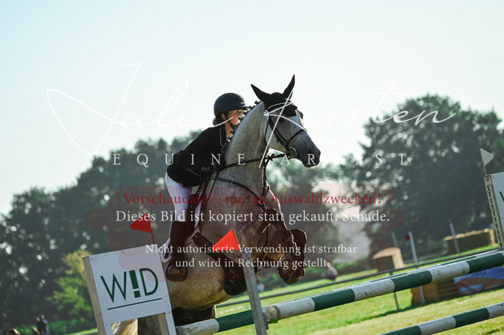 DSC_4253 | Pferde- und Turnierfotografie in Westsachsen. Pferdeportraits, Auftragszeichnungen und intuitive Kunst.