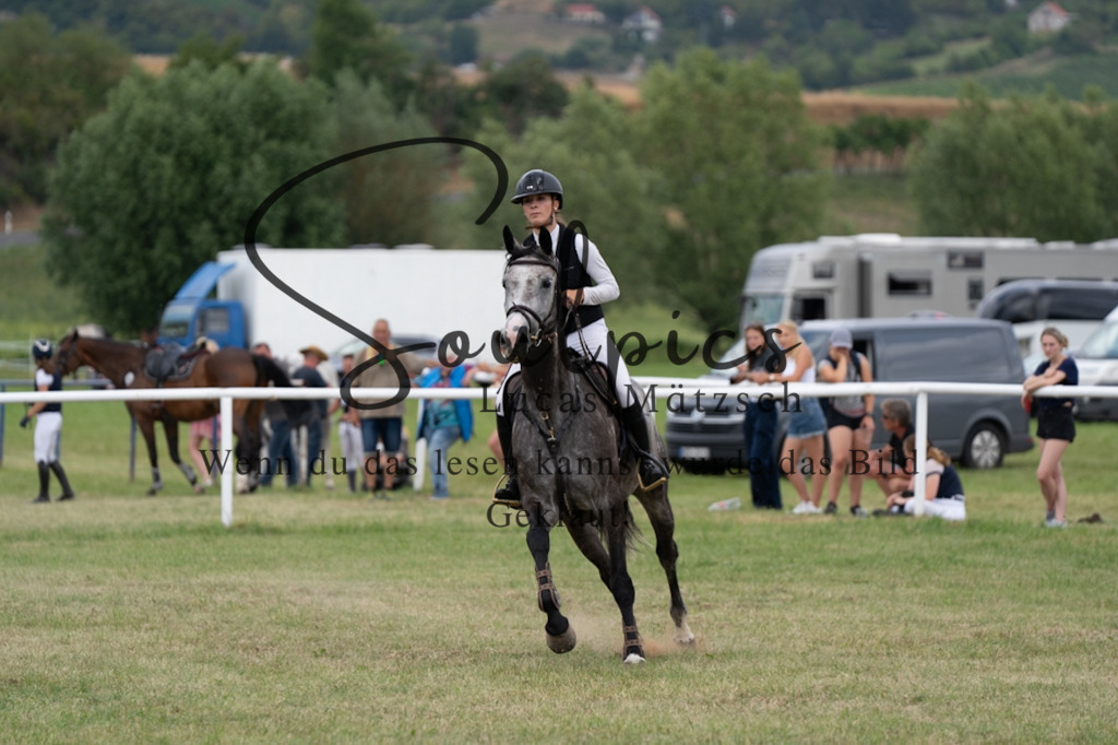 A7V02448 | Pferdefotograf