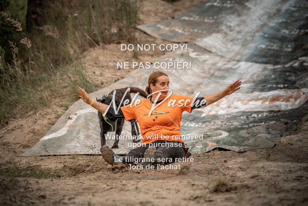 nelerasche_sa0800-1000_76 | nelerasche