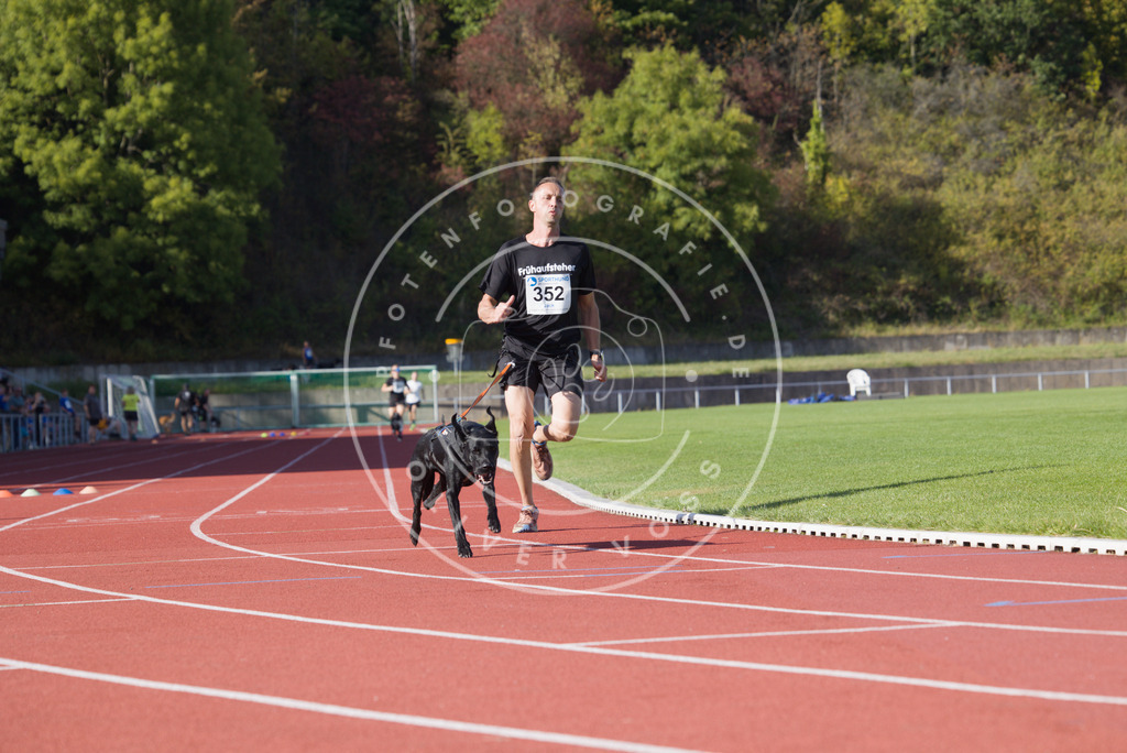 0L8A9924 | Hundefotografie, Tierfotograf, Pfotenfotografie, Fotoshooting Hund, Hunde Portrait, Hundesport, Hundeportraits, Heideshooting, Hunde, Sportfotograf, Hundefotograf, Turnierhundsport, THS,  - Realisiert mit Pictrs.com